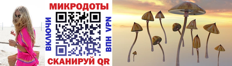 Псилоцибиновые грибы MAGIC MUSHROOMS  цена наркотик  Первоуральск 
